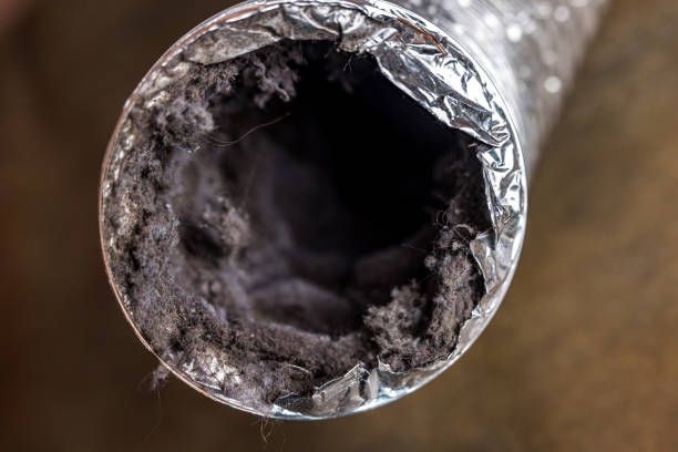 Best Air Duct Cleaning Near Me  in Akron, IA
